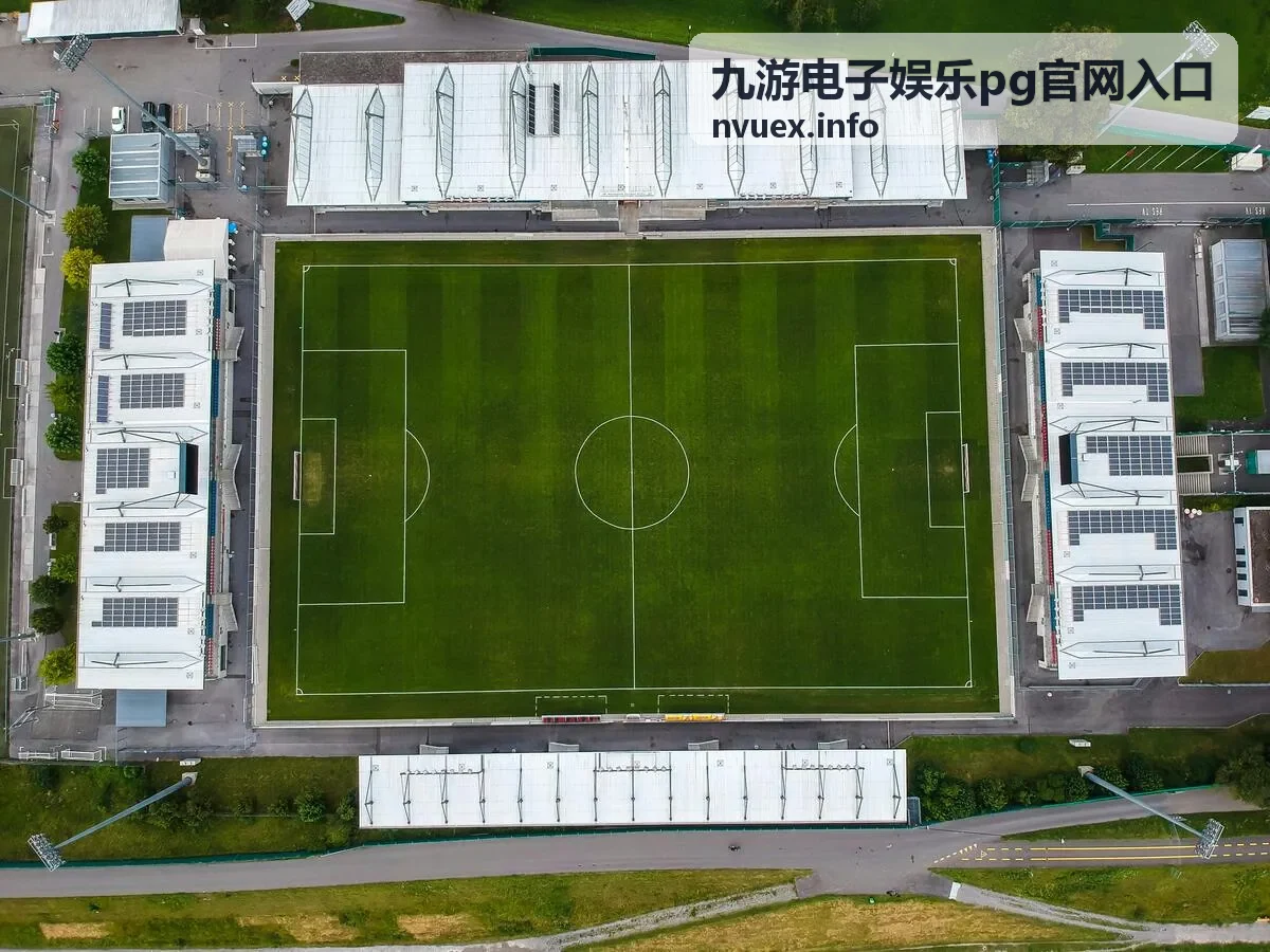 九游电子娱乐pg官网入口访问流程的页面示意
