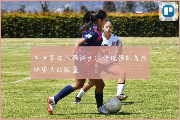 年世界杯八强诞生:传统强队与新锐势力的较量
