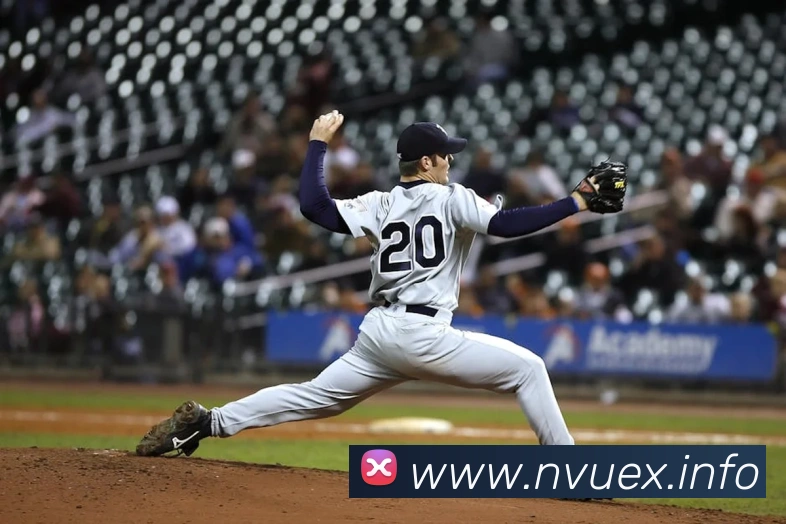 九游版官网入口APP 高清赛事图